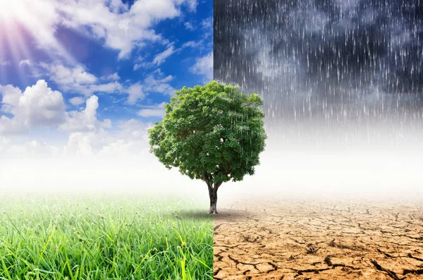 देशभर आंशिकदेखि साधारणतया बदली