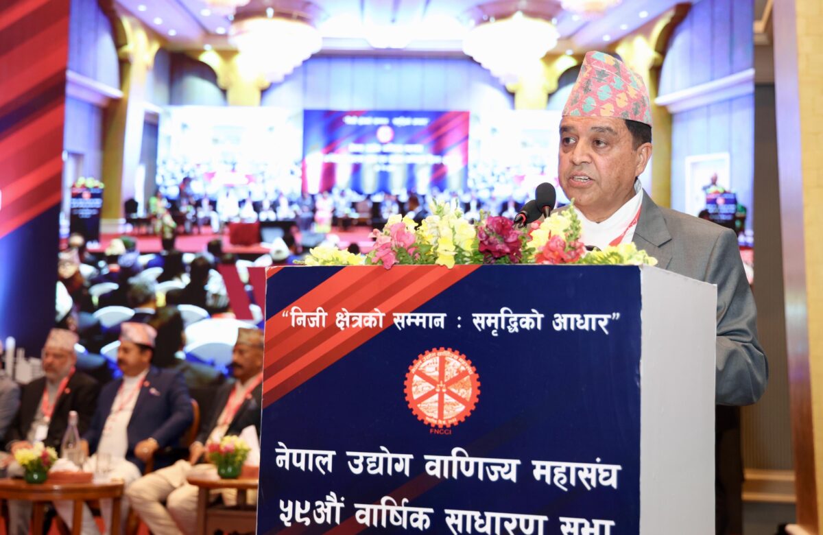 निजीक्षेत्रलाई निर्वाध काम गर्न देउः ढकाल