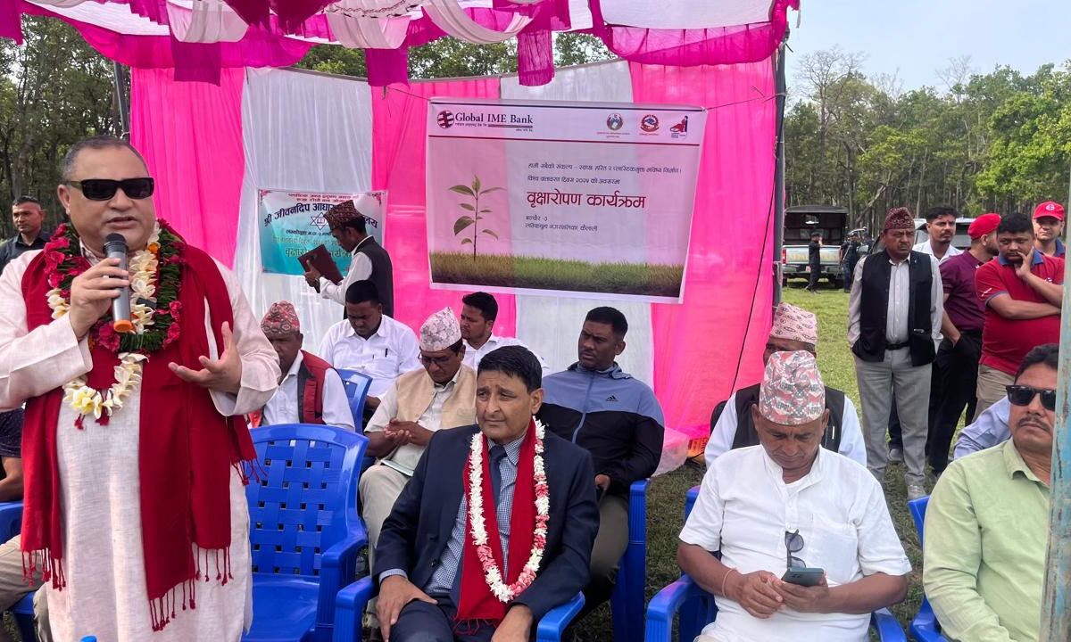 वातावरण दिवसमा ग्लोबलआईएमईको वृक्षारोपण