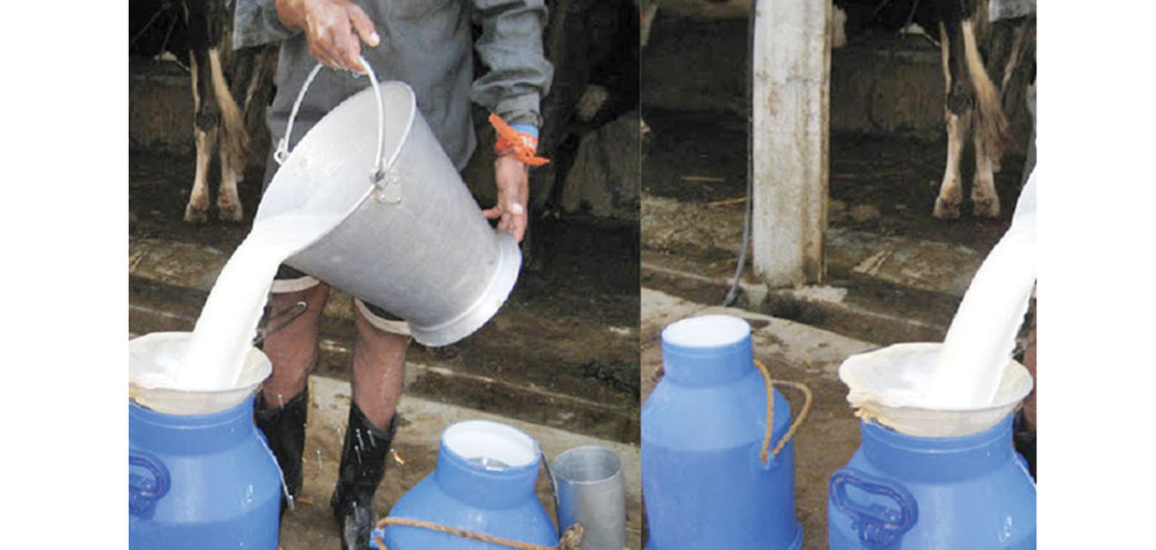 किसानको दुधको वक्यौता रकम भुक्तान