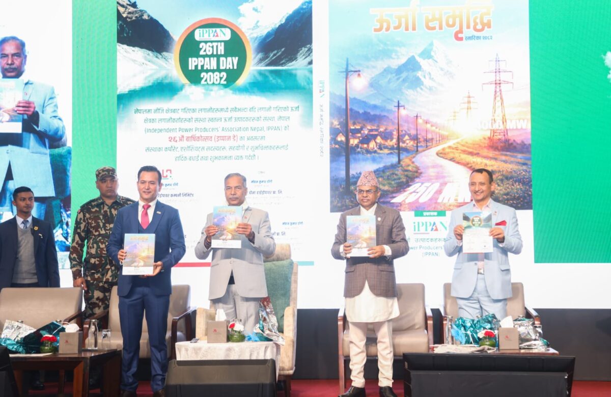 निजी क्षेत्रलाई विद्युत प्रसारण र व्यापारमा सहभागी गराउनुपर्नेमा जोड